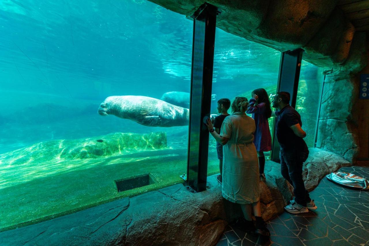 Europarcs Veluwemeer Nunspeet Zewnętrze zdjęcie